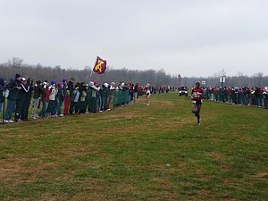 P1000273.JPG