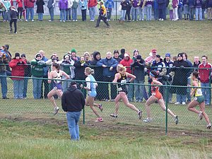 P1000287.JPG