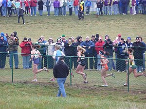 P1000288.JPG