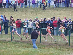 P1000289.JPG
