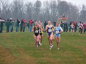 P1000307.JPG