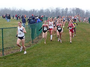 P1000329.JPG