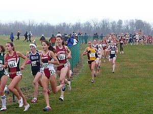 P1000335.JPG