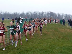 P1000337.JPG