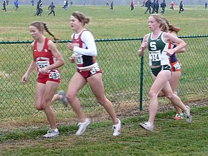 P1000352.JPG