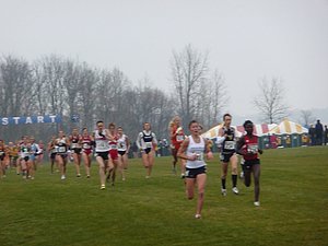 P1000366.JPG