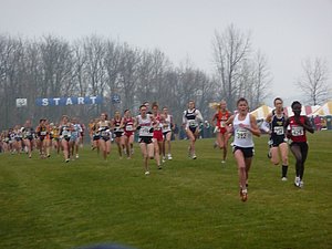 P1000367.JPG