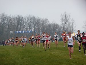 P1000368.JPG