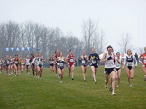 P1000369.JPG