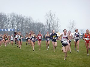 P1000370.JPG