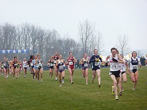 P1000371.JPG