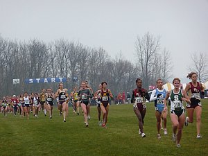 P1000372.JPG