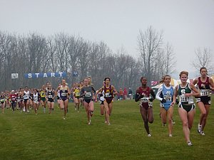 P1000373.JPG