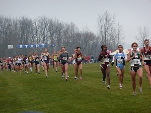 P1000374.JPG