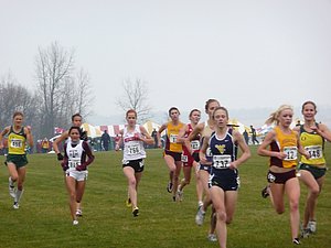 P1000379.JPG