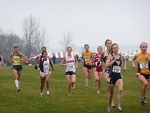 P1000380.JPG