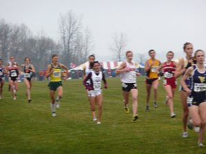 P1000381.JPG