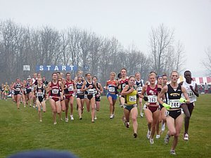 P1000385.JPG