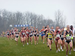 P1000387.JPG