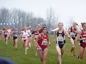 P1000388.JPG