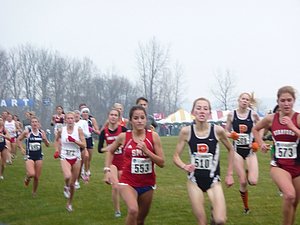 P1000389.JPG