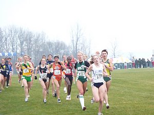 P1000394.JPG