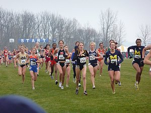 P1000396.JPG