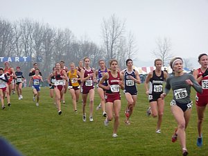 P1000399.JPG