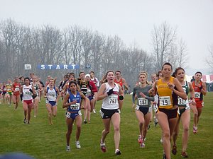 P1000401.JPG