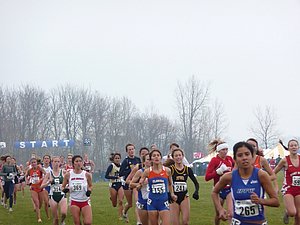 P1000404.JPG
