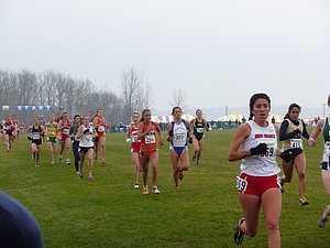 P1000405.JPG