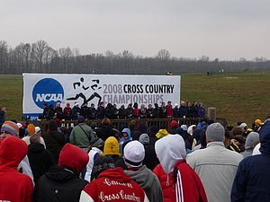 P1010042.JPG
