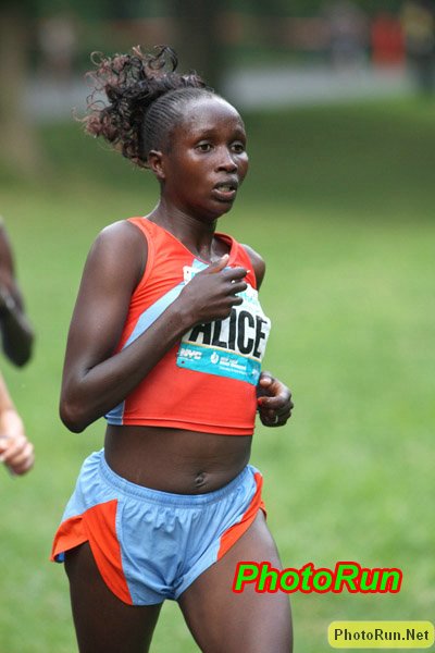 Timbilli_Alice-NYChalf08.JPG