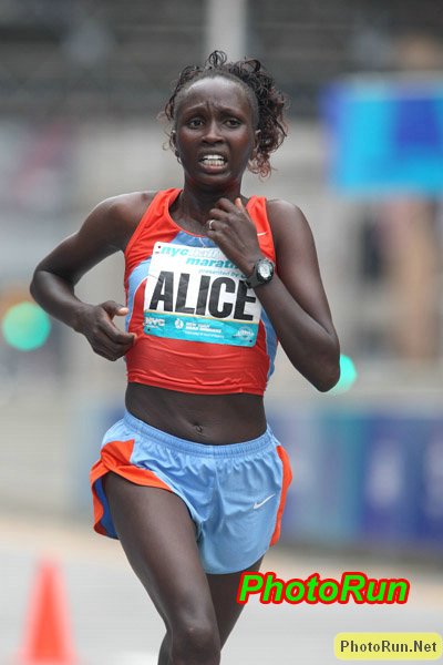 Timbilli_Alice1-NYChalf08.JPG