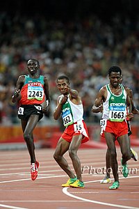 Bekele_KenenisaPose-#1C82CC.jpg