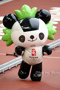 Panda-OlyGame08.jpg