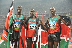 M-SteepleKenyanFL_Ol#1C934A.jpg
