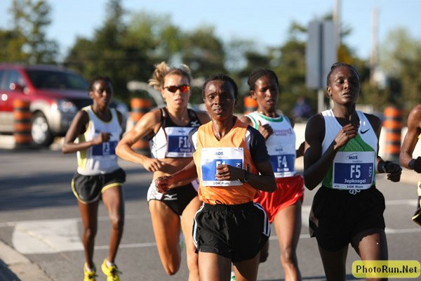 AsibaLeadsH-MDS10km08.JPG