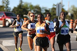 AsibaLeadsH-MDS10km08.JPG