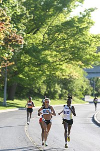 GrucaLeadsV-MDS10km08.JPG