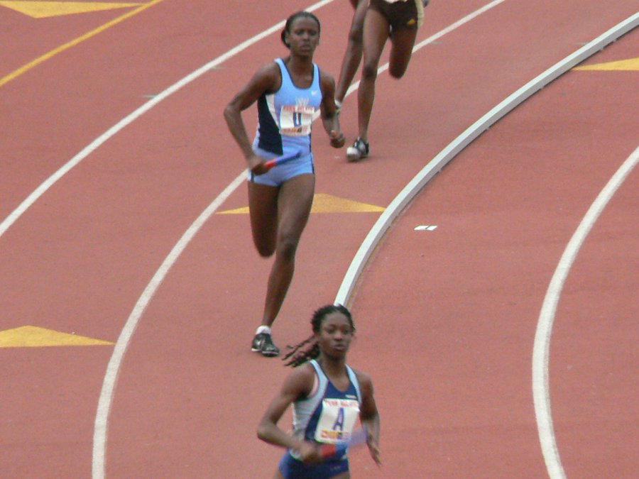 P1060824.JPG