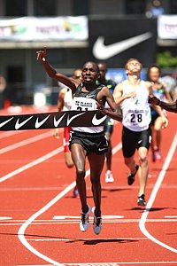 Yego_AlfredFV_Pre08.Jpg