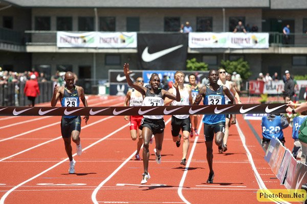 Yego-KamelFH_PreC08.jpg