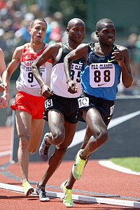 Koech-Lagat-Ramzi-PreC08.JPg