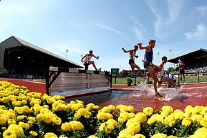 SteepleChase1-PreC08.JPg