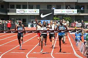Yego-KamelFH_PreC08.jpg