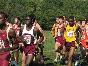 IMG_0850.JPG