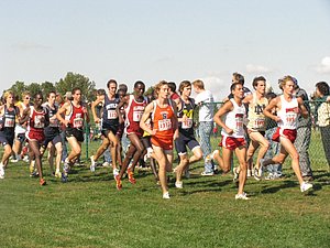 IMG_0892.JPG