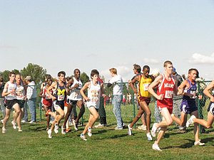 IMG_0893.JPG