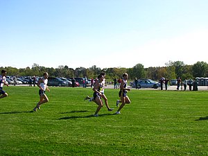 IMG_0904.JPG